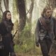 Imagen de la serie The Shannara Chronicles