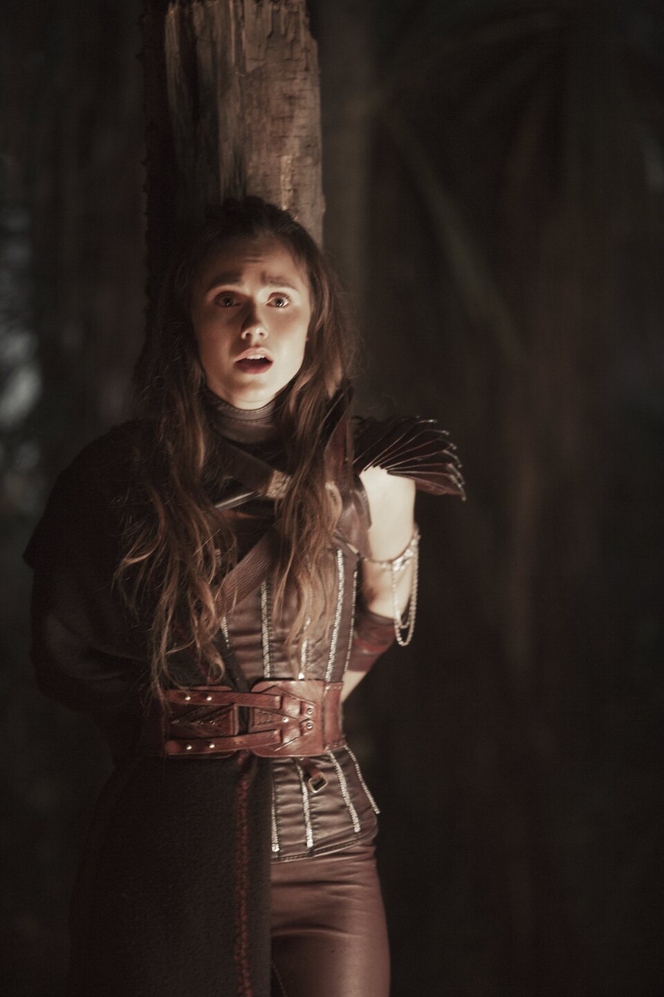 Imagen de la serie The Shannara Chronicles