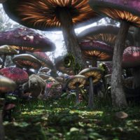 Foto de 'Alice in Wonderland'