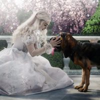 Foto de 'Alice in Wonderland'