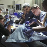 Foto de 'Code Black'