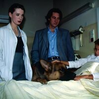 Foto de 'Rex: A Cop's Best Friend'