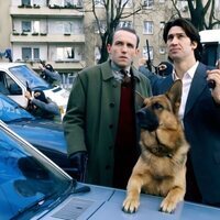 Foto de 'Rex: A Cop's Best Friend'