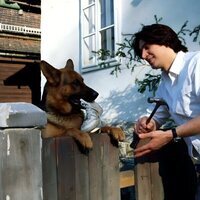 Foto de 'Rex: A Cop's Best Friend'