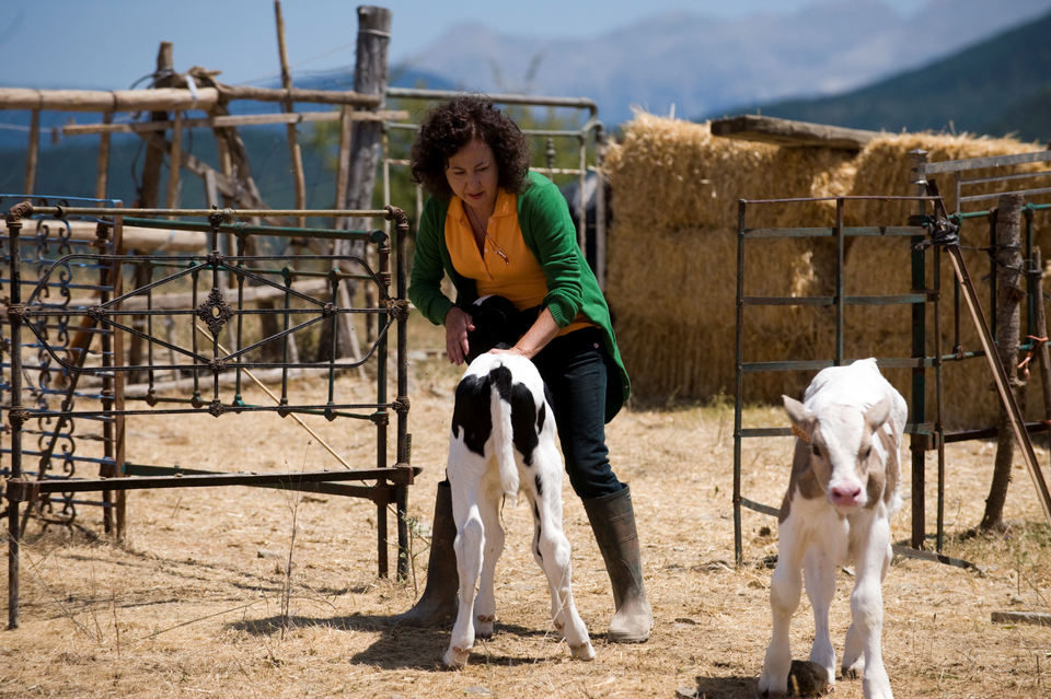 Imagen de la película To Hell with the Ugly