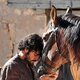 Imagen de la serie Tierra de lobos