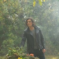 Foto de 'The Gifted'