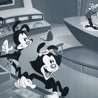 Foto de 'Animaniacs'