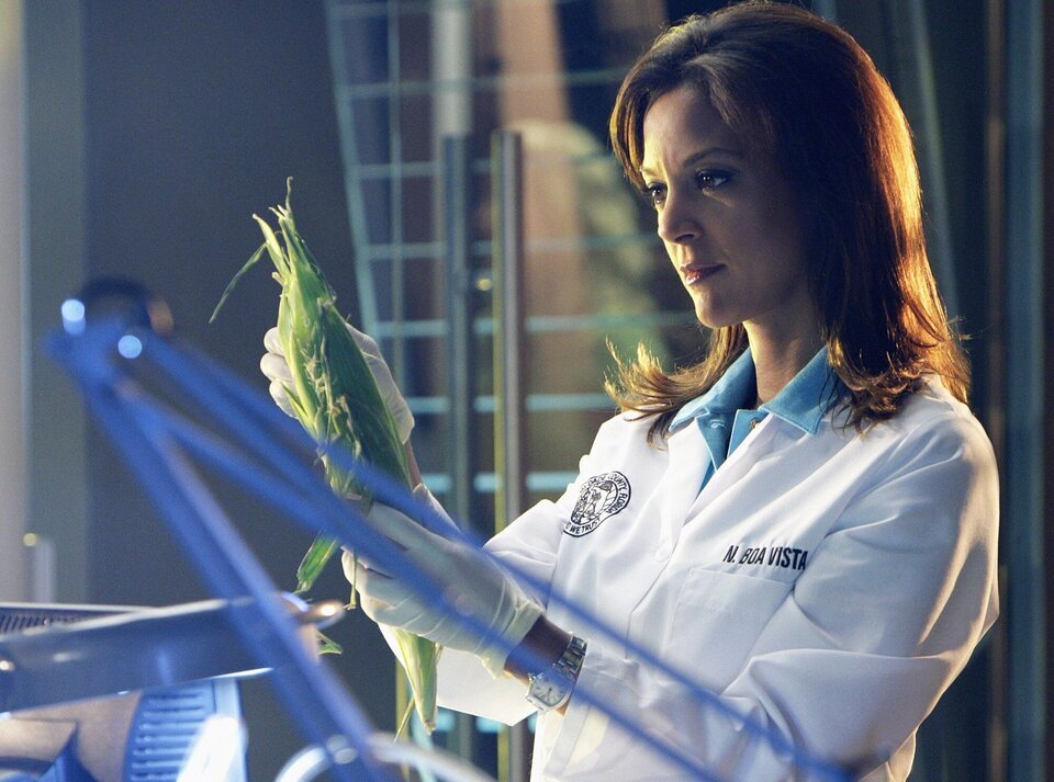 Imagen de la serie CSI: Miami