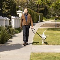Foto de 'Curb Your Enthusiasm'