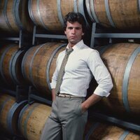 Foto de 'Falcon Crest'