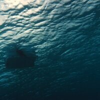 Foto de 'Top of the Lake'