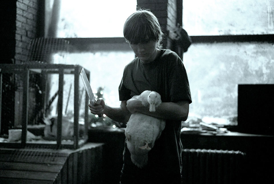 Imagen de la película The Good Heart