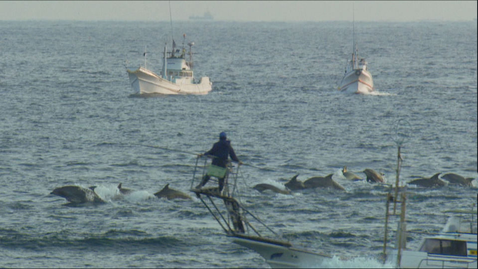 Imagen de la película The Cove