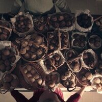 El cuento de la criada (The Handmaid's Tale)