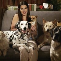 Foto de 'How I Met Your Mother'