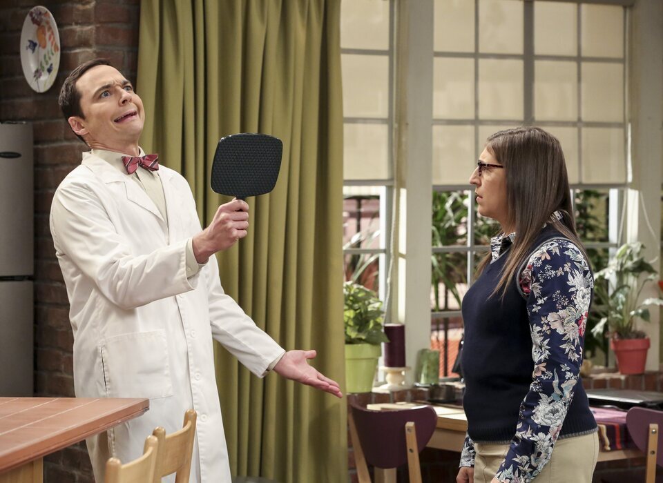 The Big Bang Theory