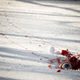 Imagen de la película Dead snow