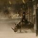 Imagen de la película Gladiator II