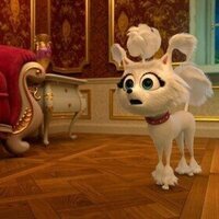 Foto de 'Dogs at the Opera'