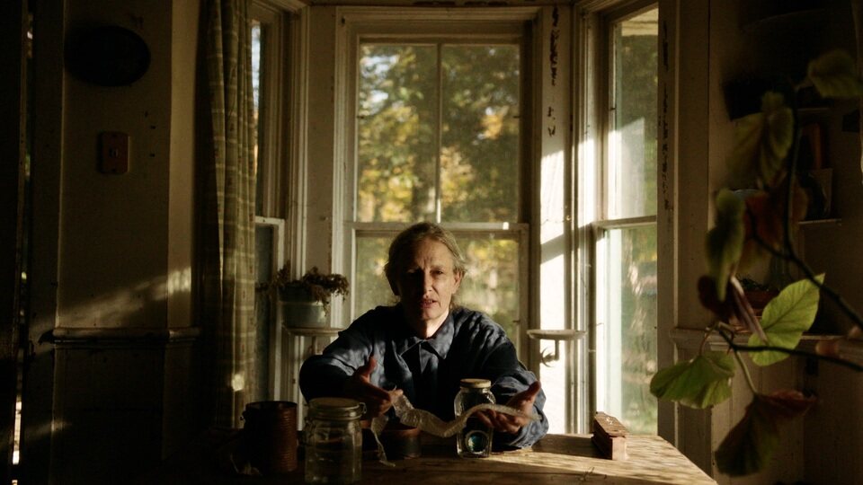 Imagen de la película The Human Hibernation