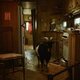 Imagen de la película The Human Hibernation
