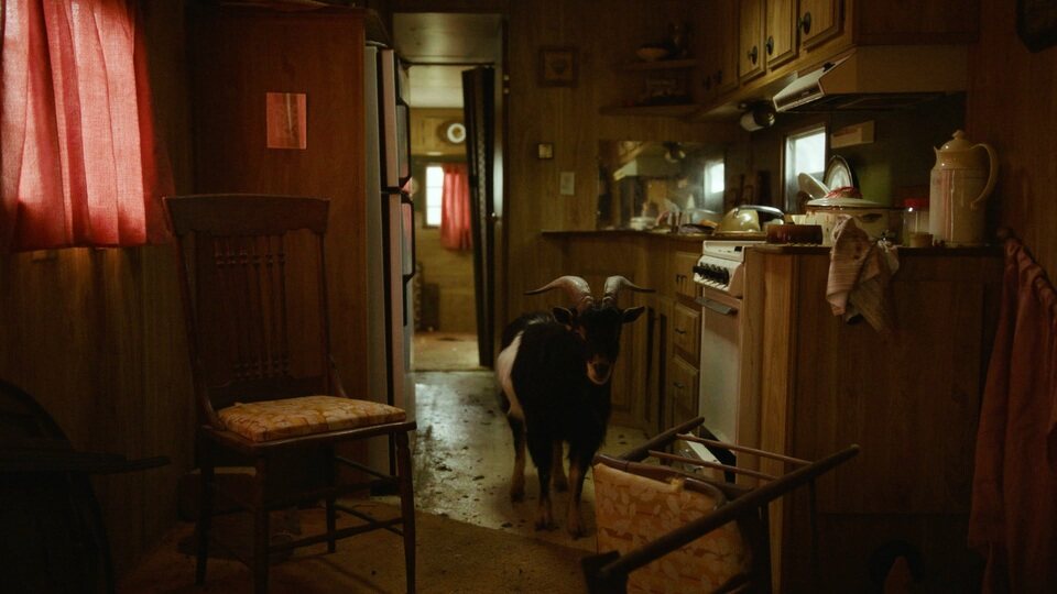 Imagen de la película The Human Hibernation