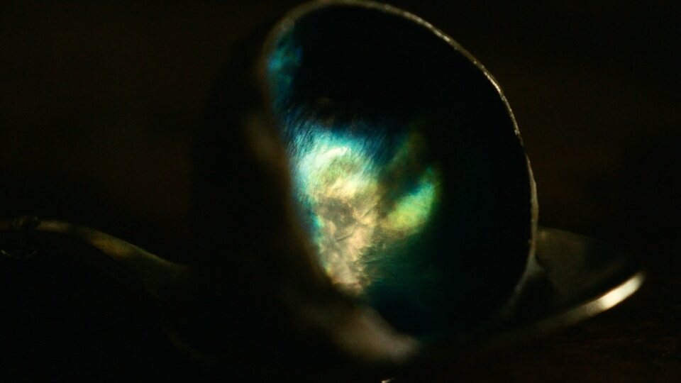 Imagen de la película The Human Hibernation