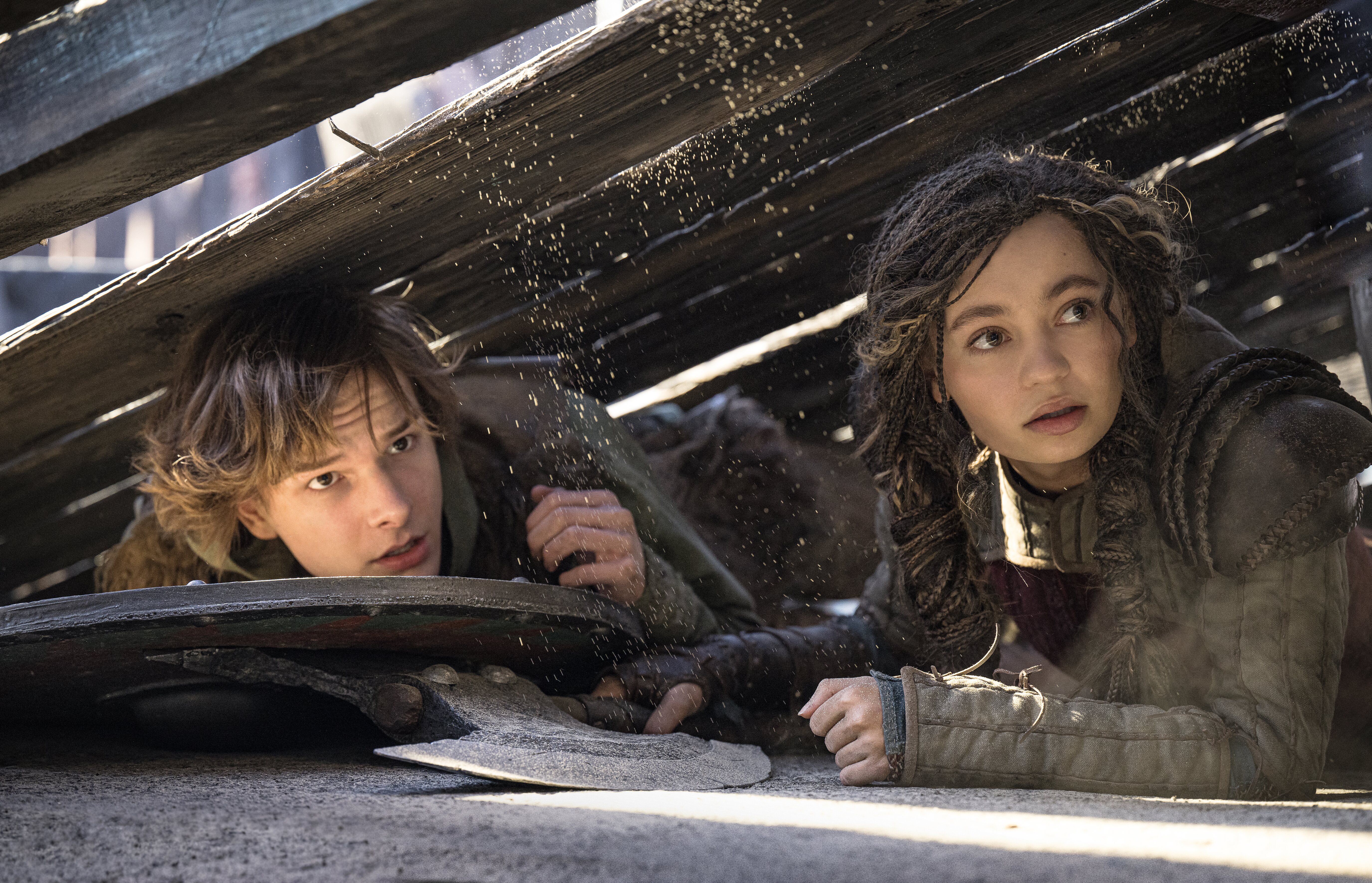 Imagen de la película How to Train Your Dragon