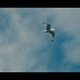 Imagen de la película Itoiz Summer Sessions
