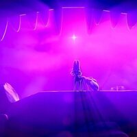 Una noche en Zoopolis