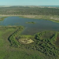 Foto de 'Doñana'