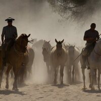 Foto de 'Doñana'