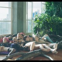 ¡Caigan las rosas blancas!