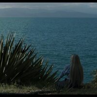 ¡Caigan las rosas blancas!