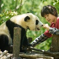 Moon, mi amigo panda