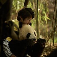 Moon, mi amigo panda