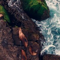 Island of Lost Girls