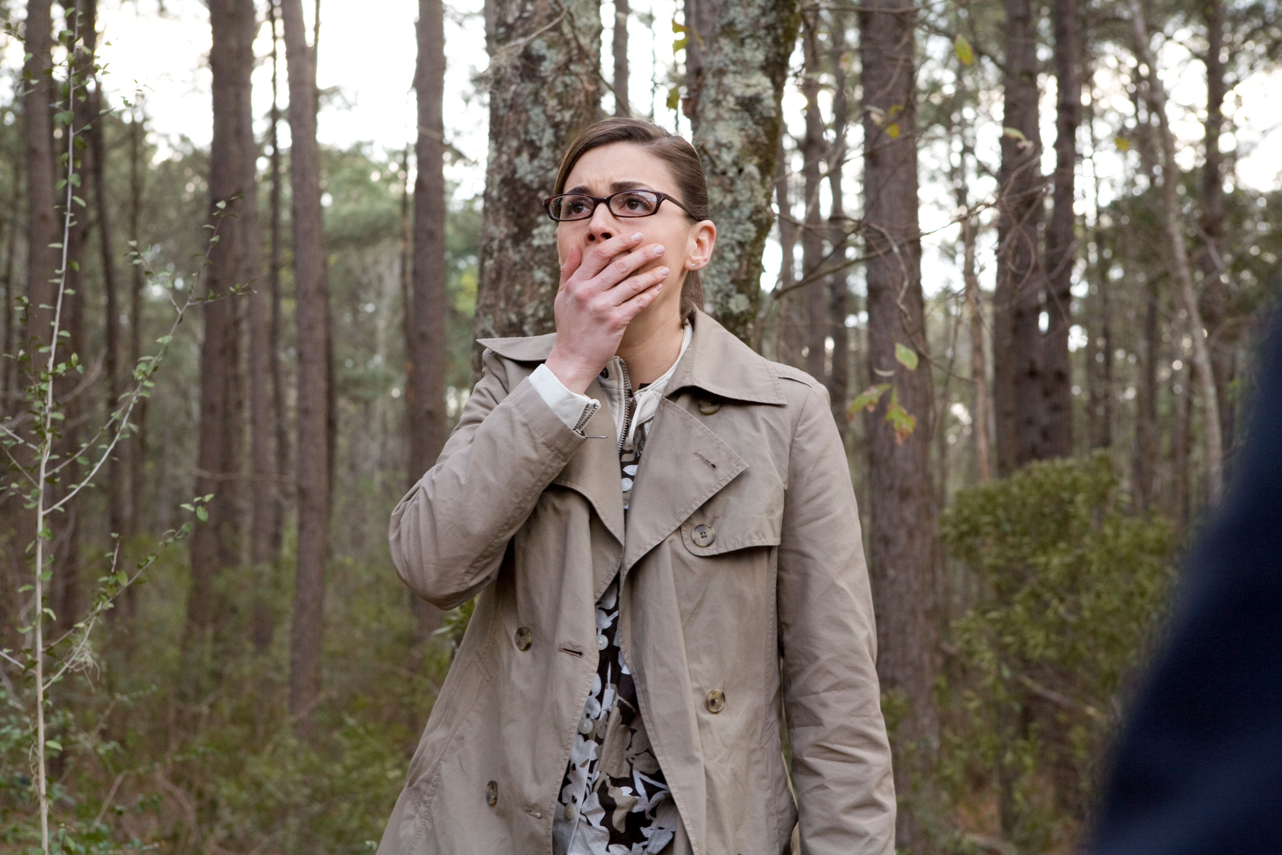 Imagen de la película The New Daughter