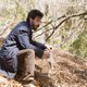 Imagen de la película The New Daughter