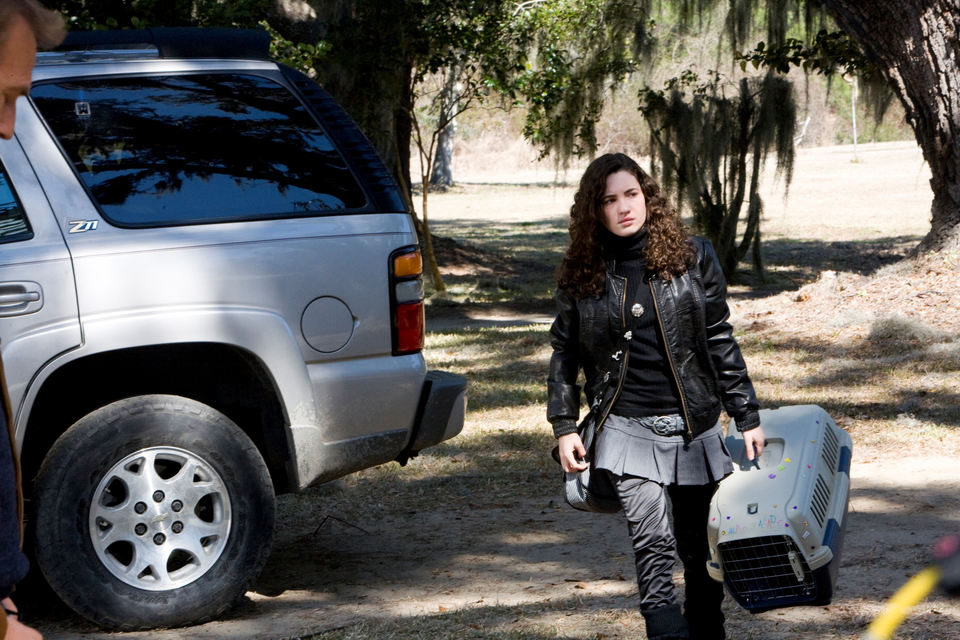 Imagen de la película The New Daughter