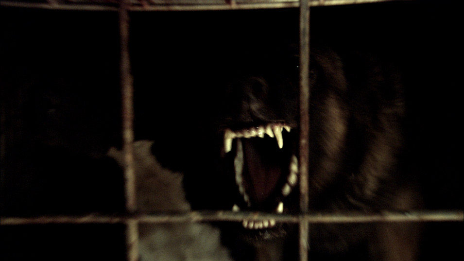 Imagen de la película Wolf Creek
