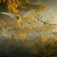 Ga'Hoole, la leyenda de los guardianes