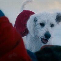 Imagen de la película 