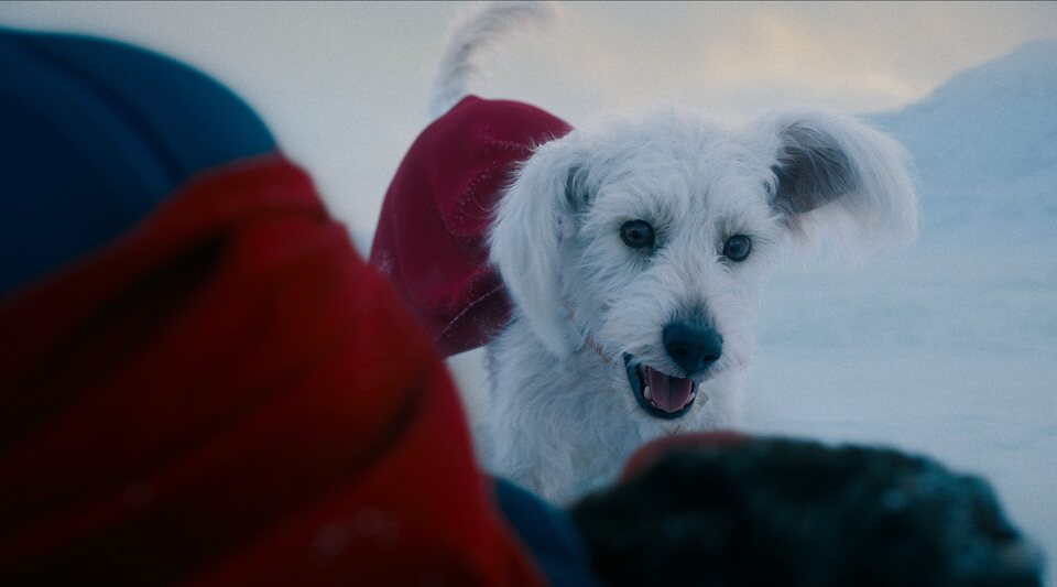 Imagen de la película Superman