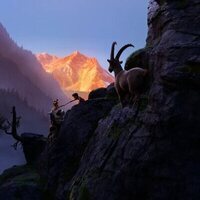 Heidi - Rescue of the Lynx
