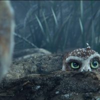 Ga'Hoole, la leyenda de los guardianes