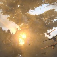 Ga'Hoole, la leyenda de los guardianes