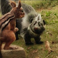 Campamento Garra de Oso