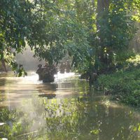 Che, un hombre nuevo